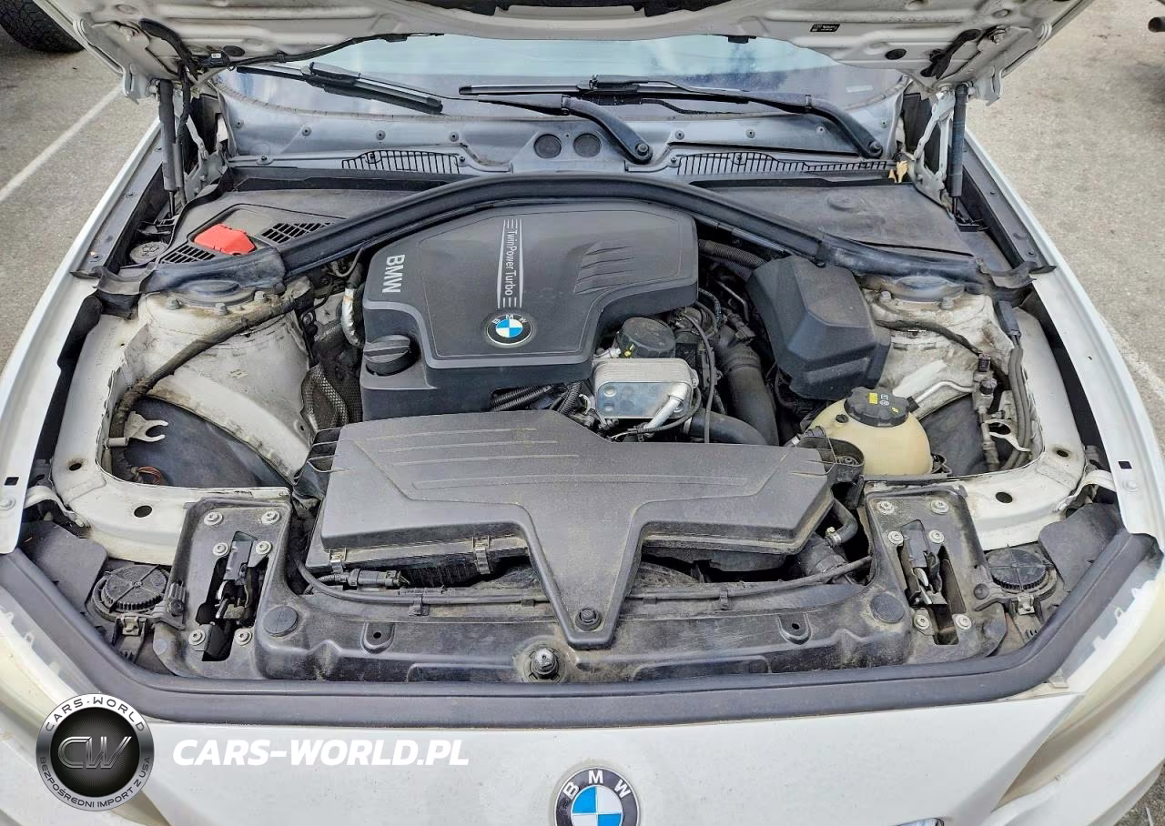 2016 BMW 228 I Sulev VIN:WBA1F9C56GV546570 - 11