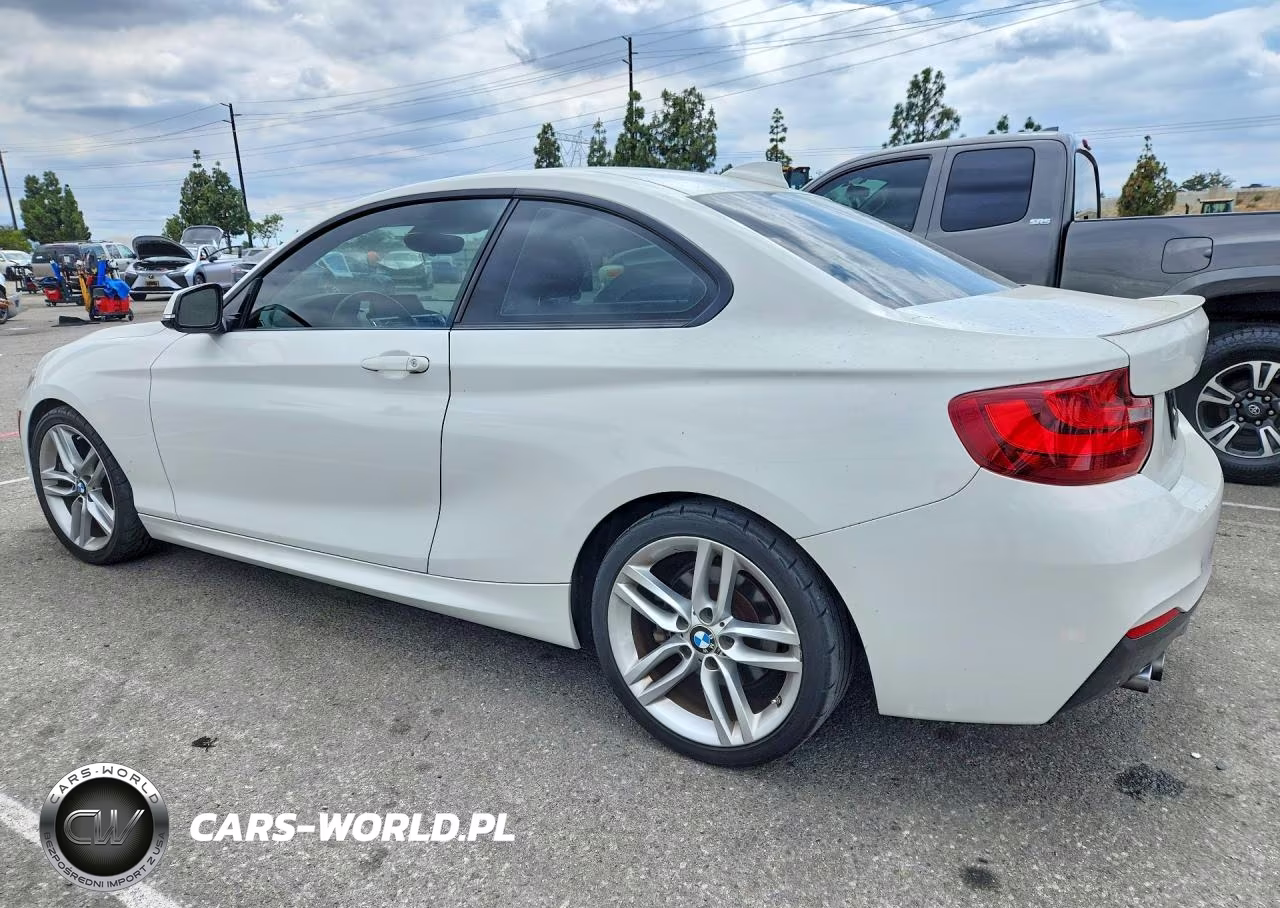 2016 BMW 228 I Sulev VIN:WBA1F9C56GV546570 - 2