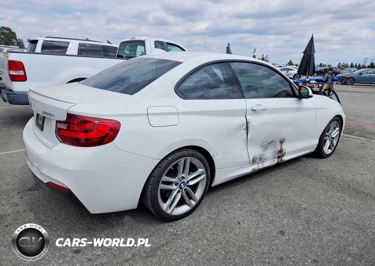 2016 BMW 228 I Sulev VIN:WBA1F9C56GV546570 - 3
