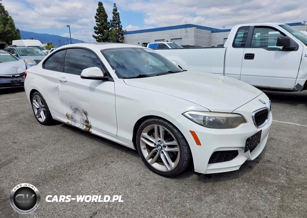 2016 BMW 228 I Sulev VIN:WBA1F9C56GV546570 - 4