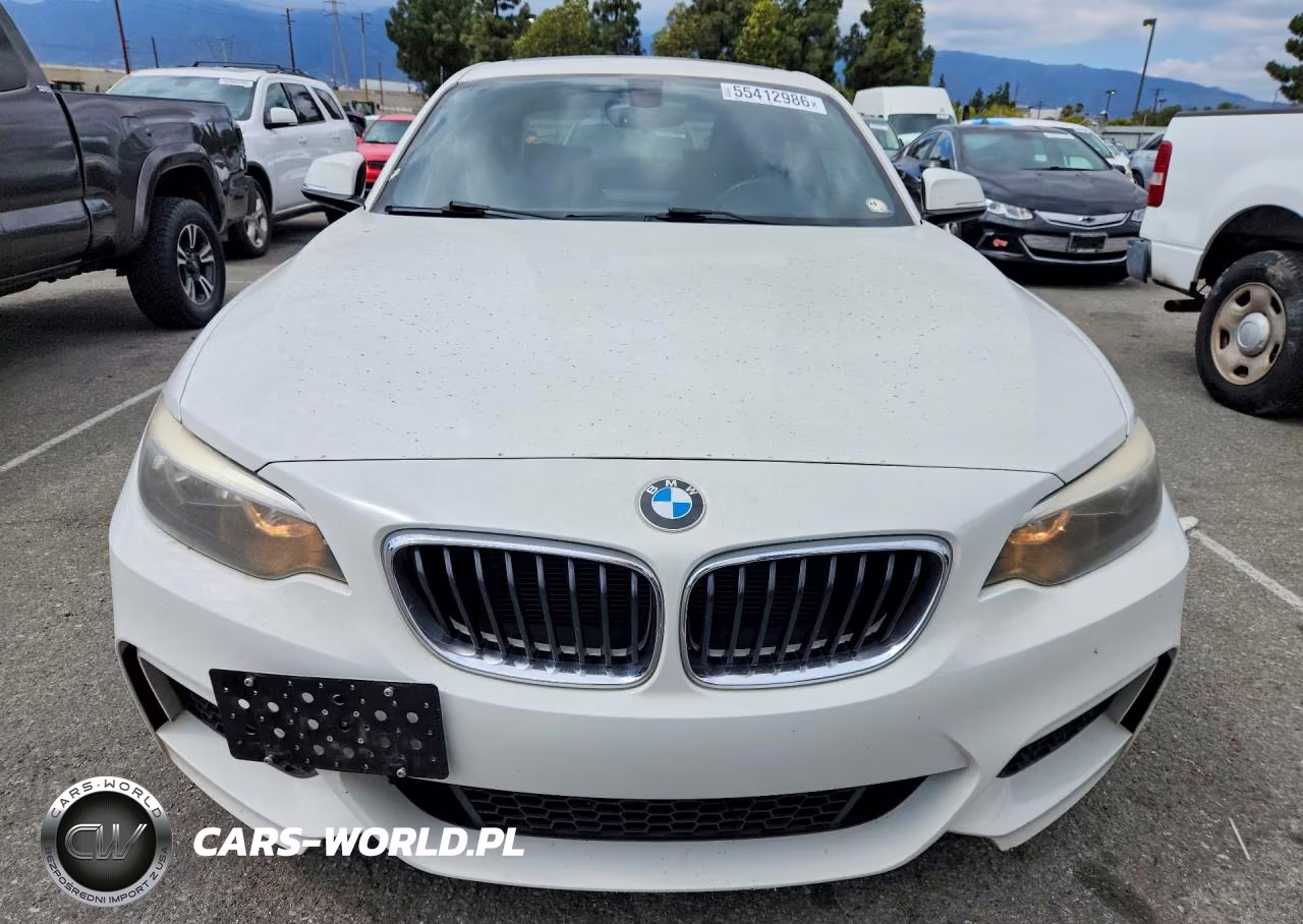 2016 BMW 228 I Sulev VIN:WBA1F9C56GV546570 - 5
