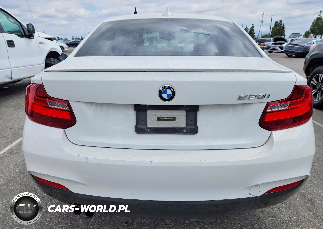 2016 BMW 228 I Sulev VIN:WBA1F9C56GV546570 - 6