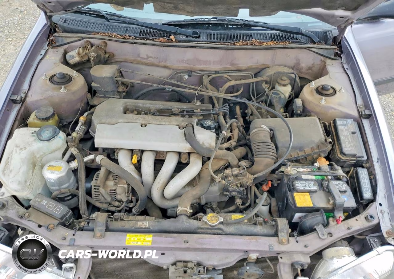 1998 Chevrolet Geo Prizm Base VIN:1Y1SK5281WZ422149 - 11