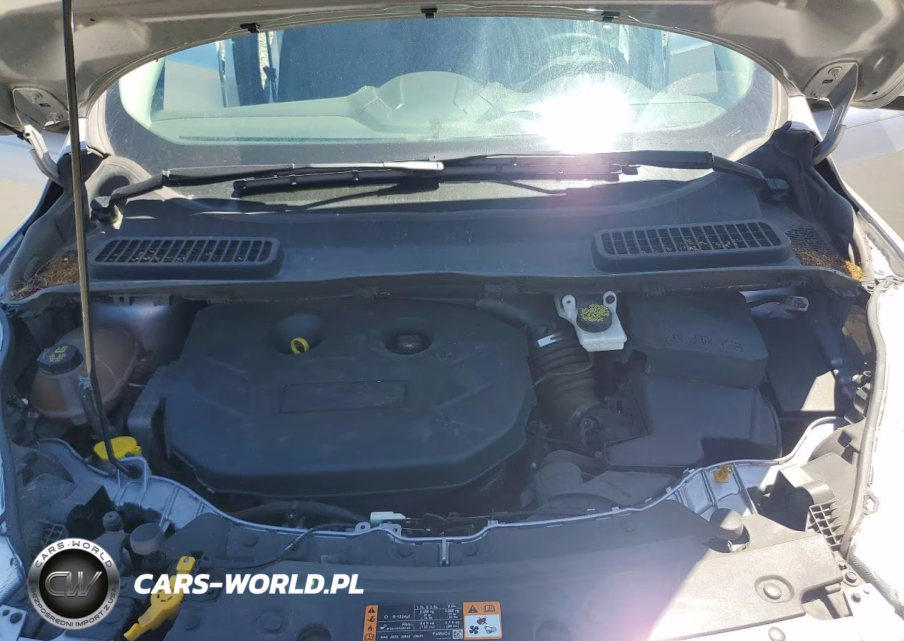 2017 Ford Escape Se VIN:1FMCU9G97HUB16399 - 12