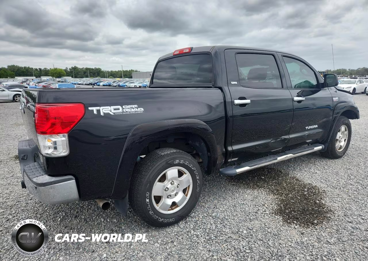2013 Toyt Tundra Cre VIN:5TFEY5F10DX139313 - 3
