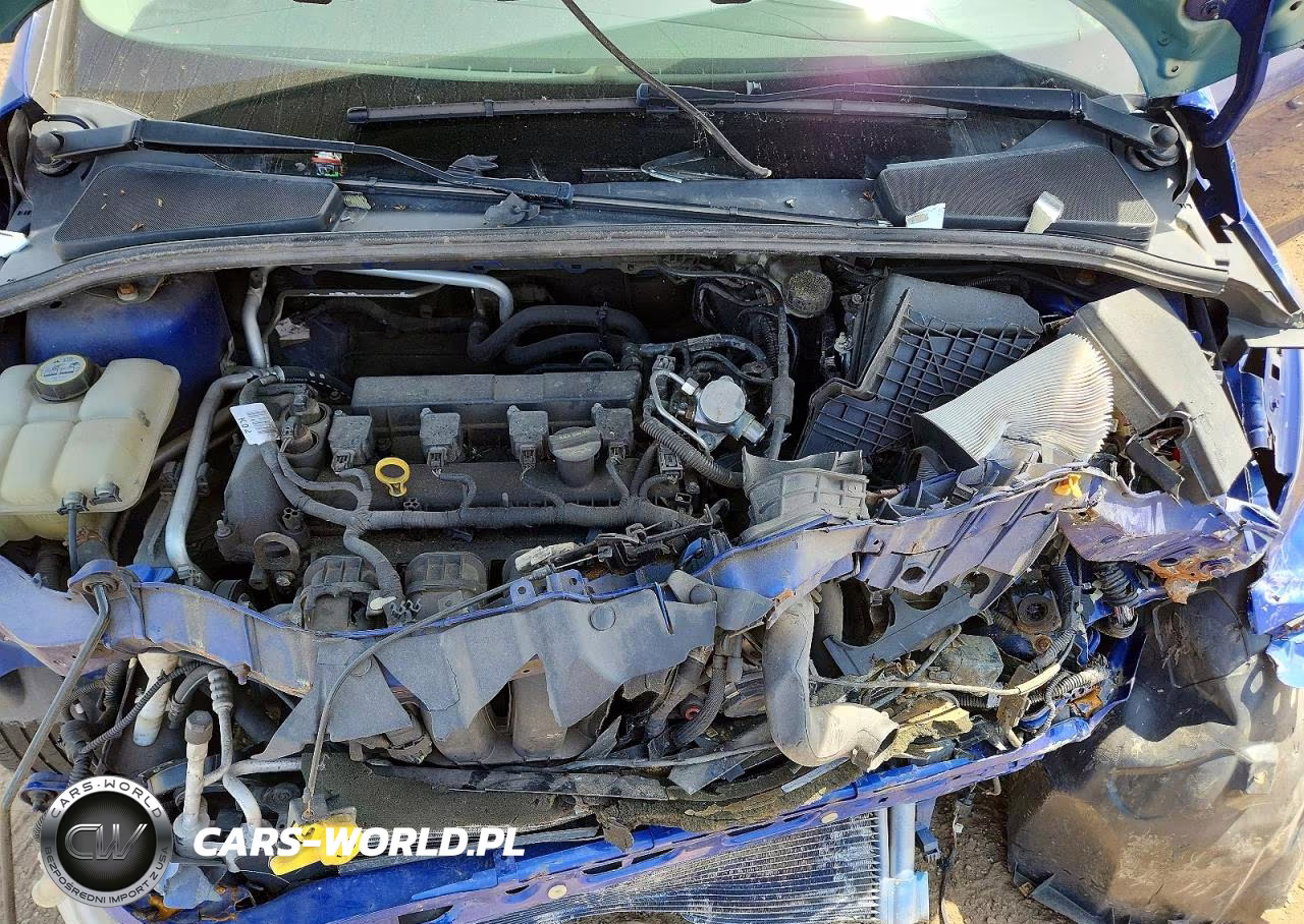 2012 Ford Focus S VIN:1FAHP3E23CL261089 - 11