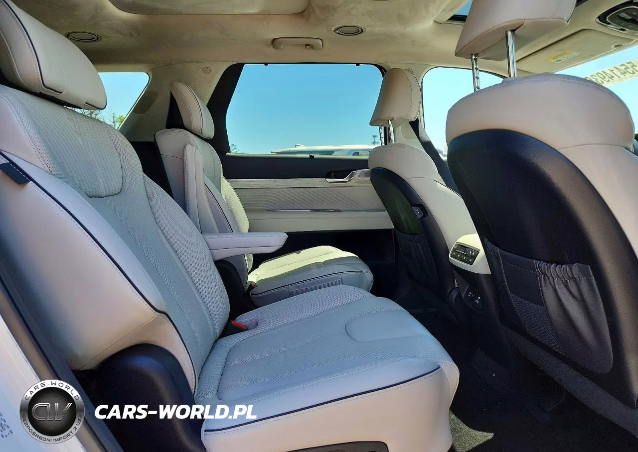 2024 Hyundai Palisade Calligraphy VIN:KM8R7DGE8RU805810 - 11