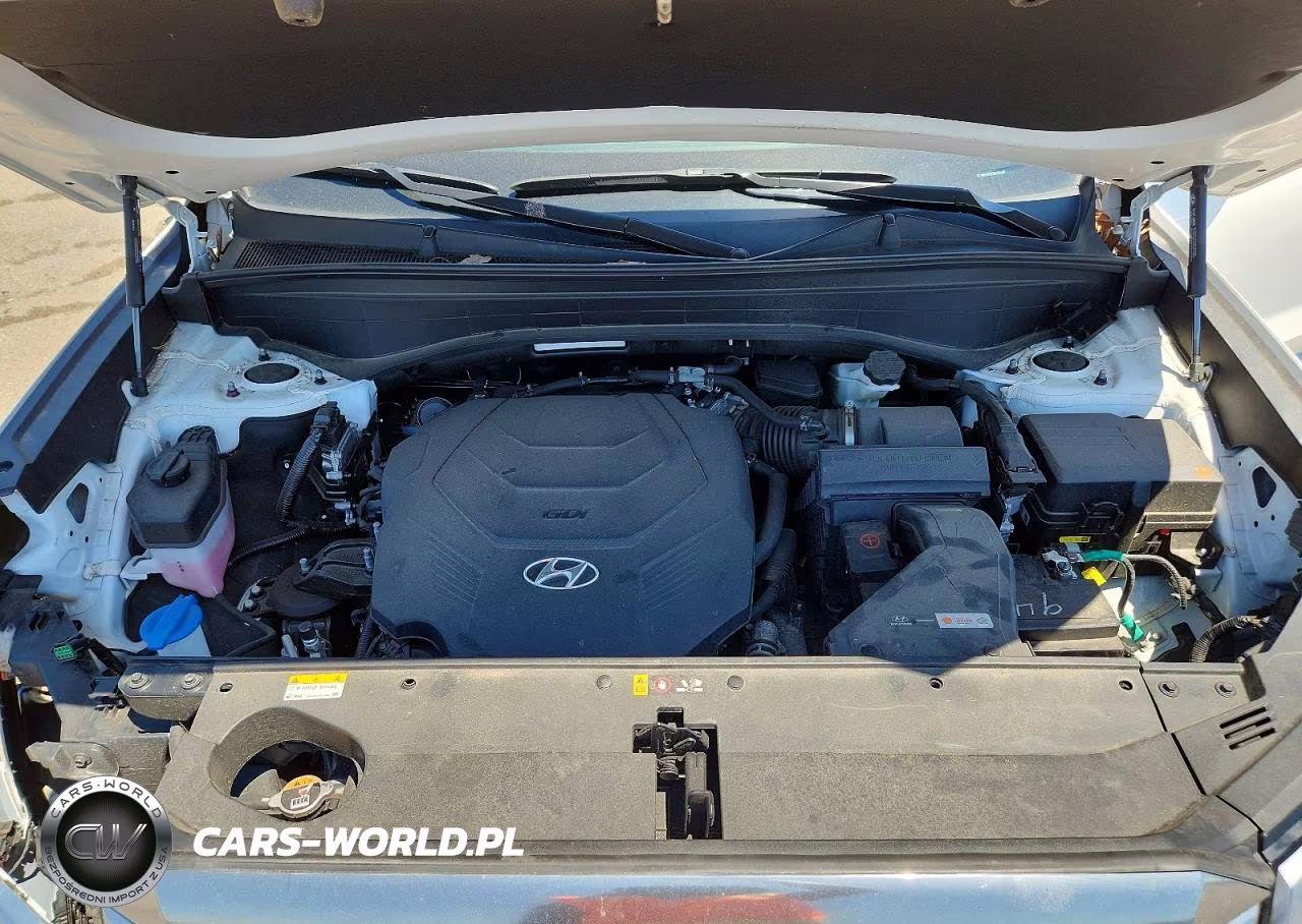 2024 Hyundai Palisade Calligraphy VIN:KM8R7DGE8RU805810 - 12
