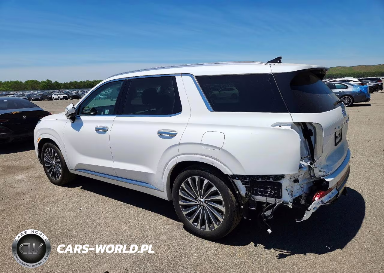 2024 Hyundai Palisade Calligraphy VIN:KM8R7DGE8RU805810 - 2