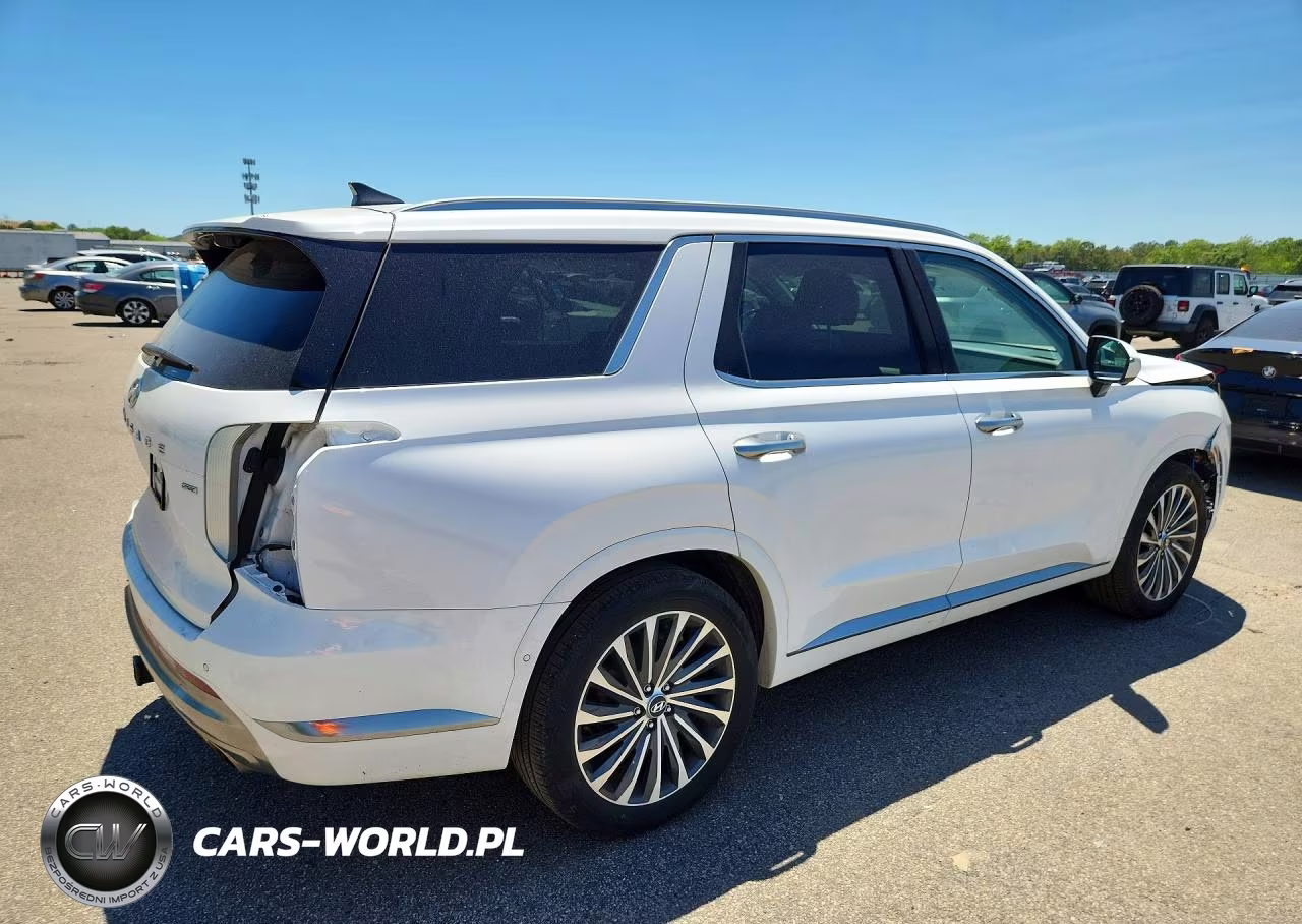 2024 Hyundai Palisade Calligraphy VIN:KM8R7DGE8RU805810 - 3