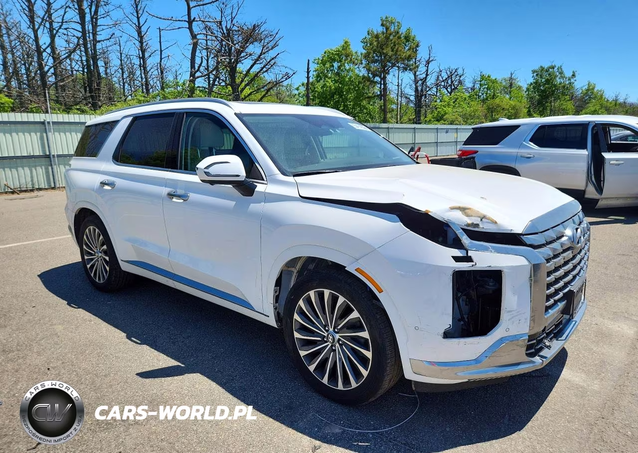 2024 Hyundai Palisade Calligraphy VIN:KM8R7DGE8RU805810 - 4