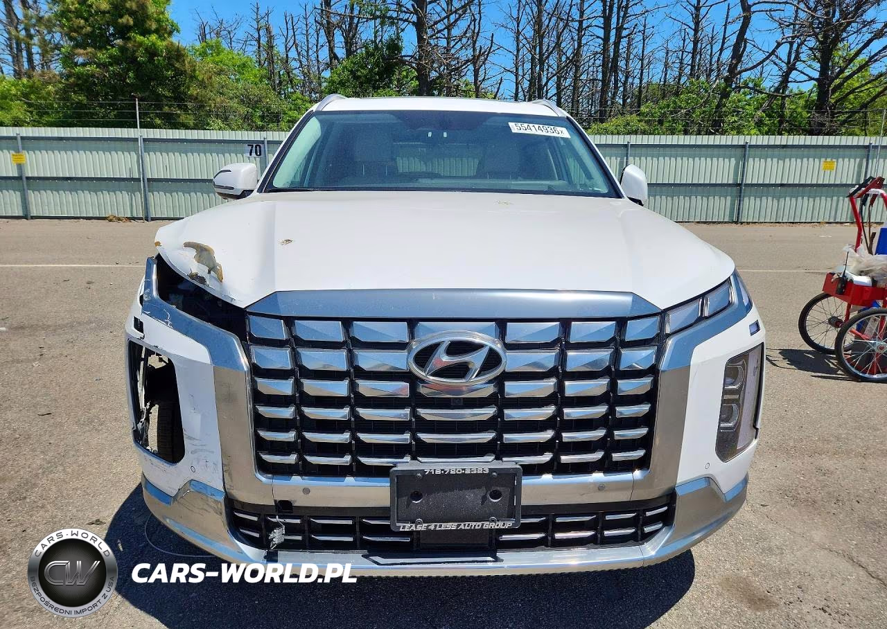 2024 Hyundai Palisade Calligraphy VIN:KM8R7DGE8RU805810 - 5