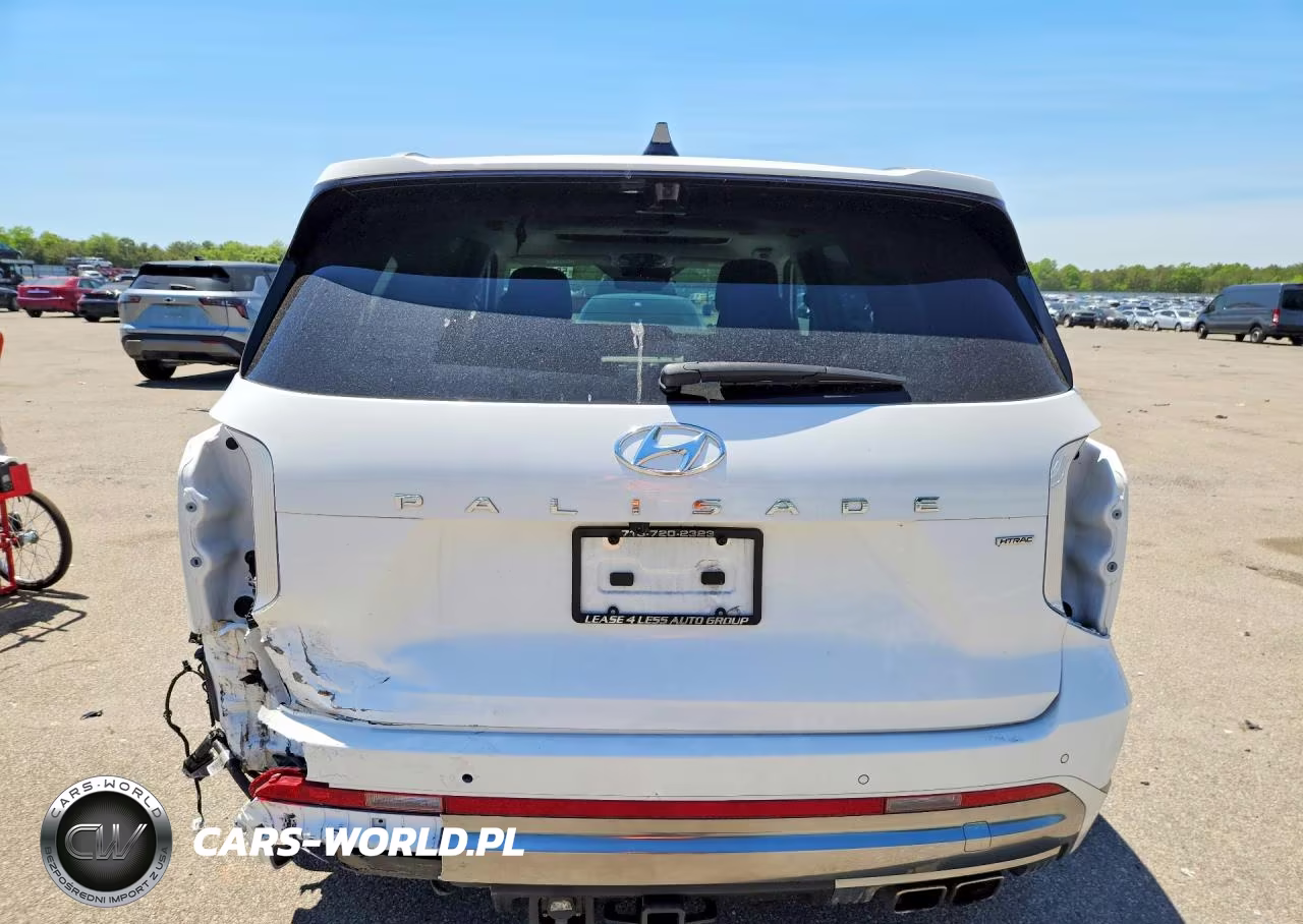 2024 Hyundai Palisade Calligraphy VIN:KM8R7DGE8RU805810 - 6