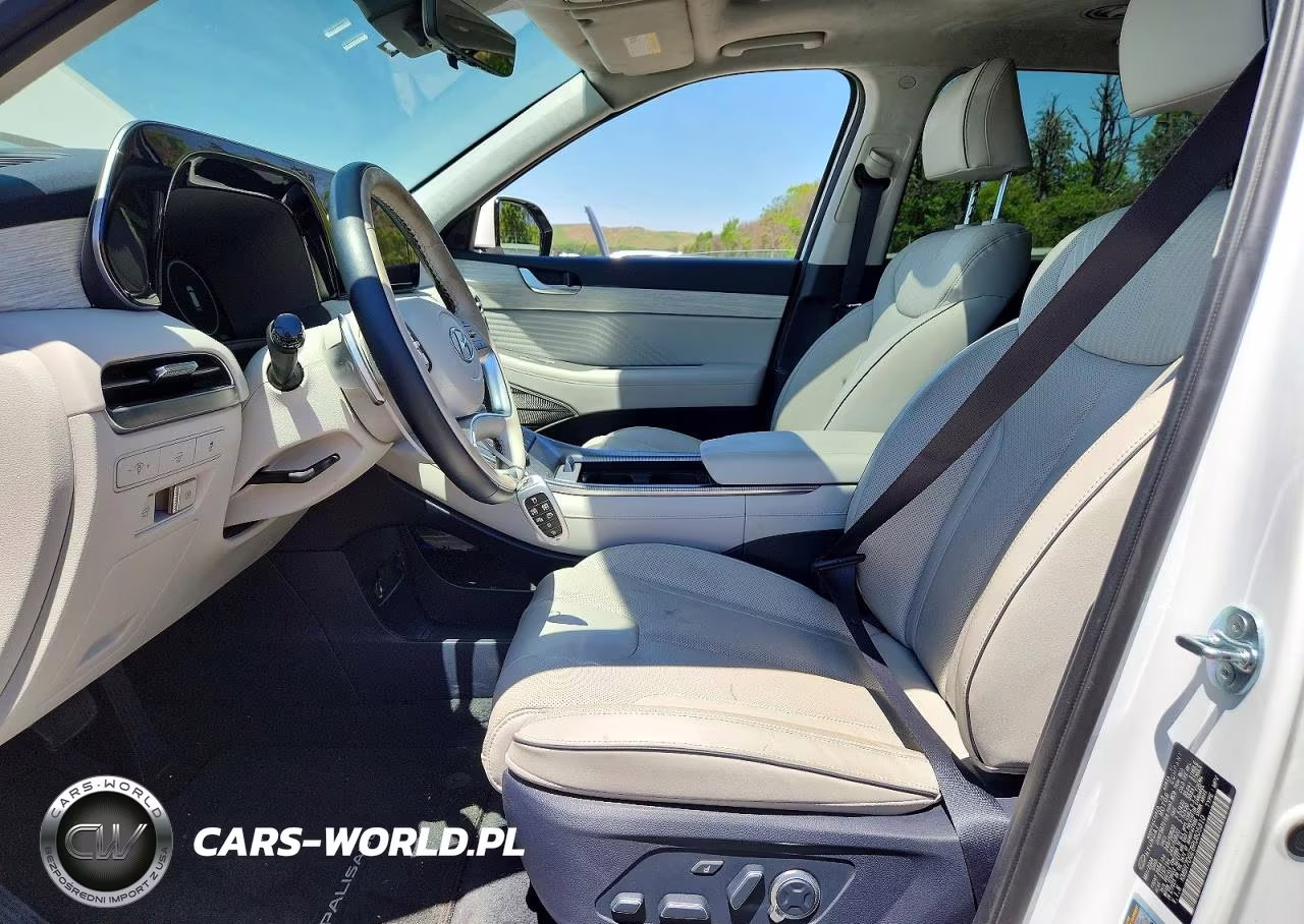 2024 Hyundai Palisade Calligraphy VIN:KM8R7DGE8RU805810 - 7