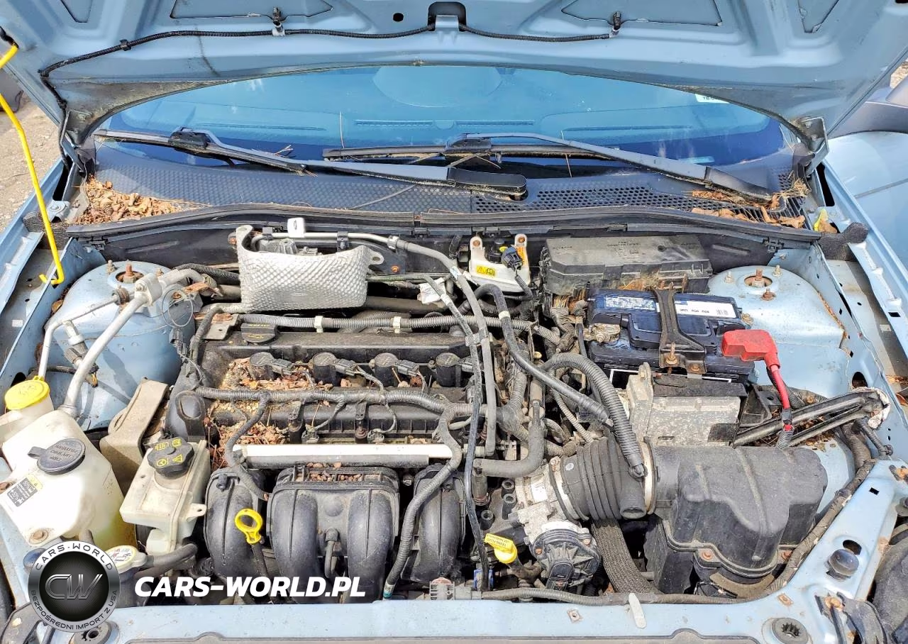 2009 Ford Focus Se VIN:1FAHP35N49W226983 - 11
