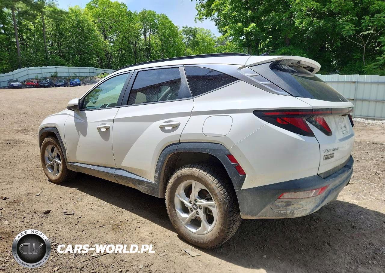 2024 Hyundai Tucson VIN:5NMJBCDE1RH297184 - 2