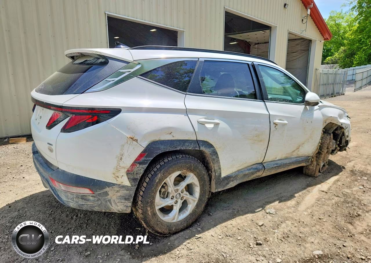 2024 Hyundai Tucson VIN:5NMJBCDE1RH297184 - 3
