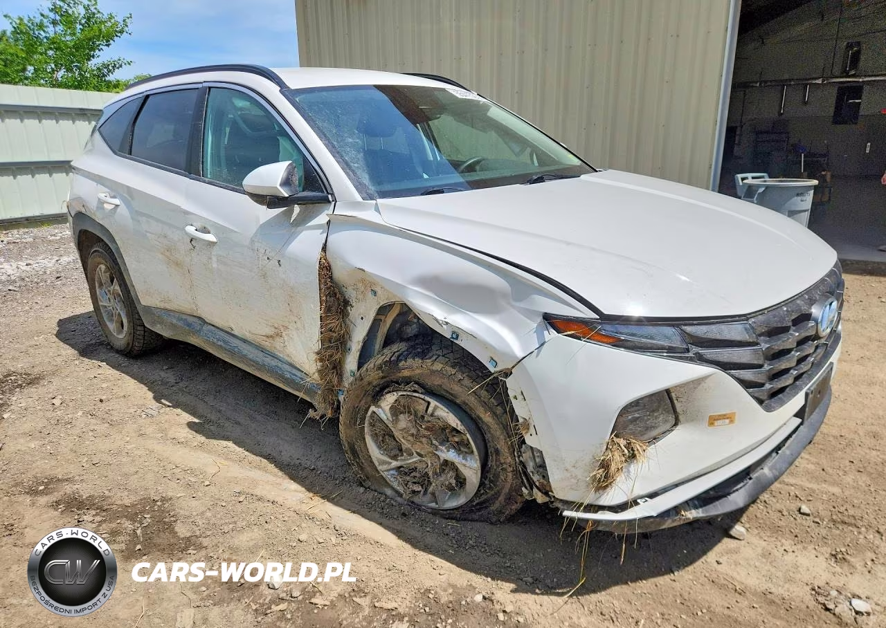 2024 Hyundai Tucson VIN:5NMJBCDE1RH297184 - 4