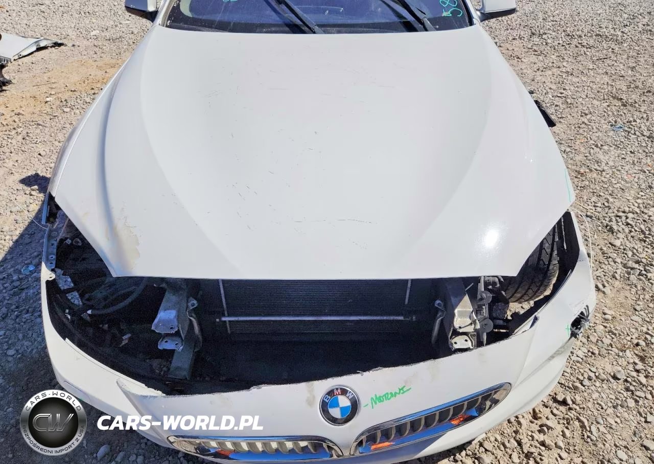 2013 BMW 650 Xi VIN:WBAYM1C5XDDZ02431 - 11