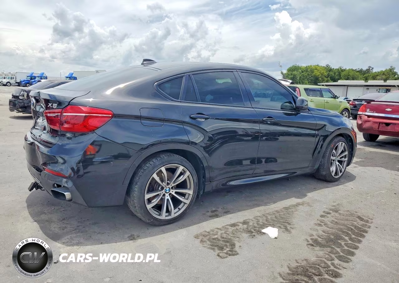 2017 BMW X6 xDrive50I VIN:5UXKU6C32H0S99670 - 3
