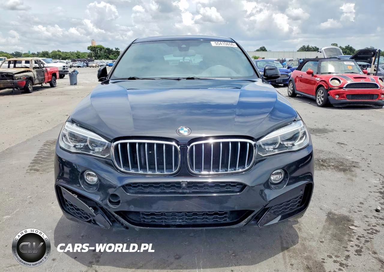 2017 BMW X6 xDrive50I VIN:5UXKU6C32H0S99670 - 5