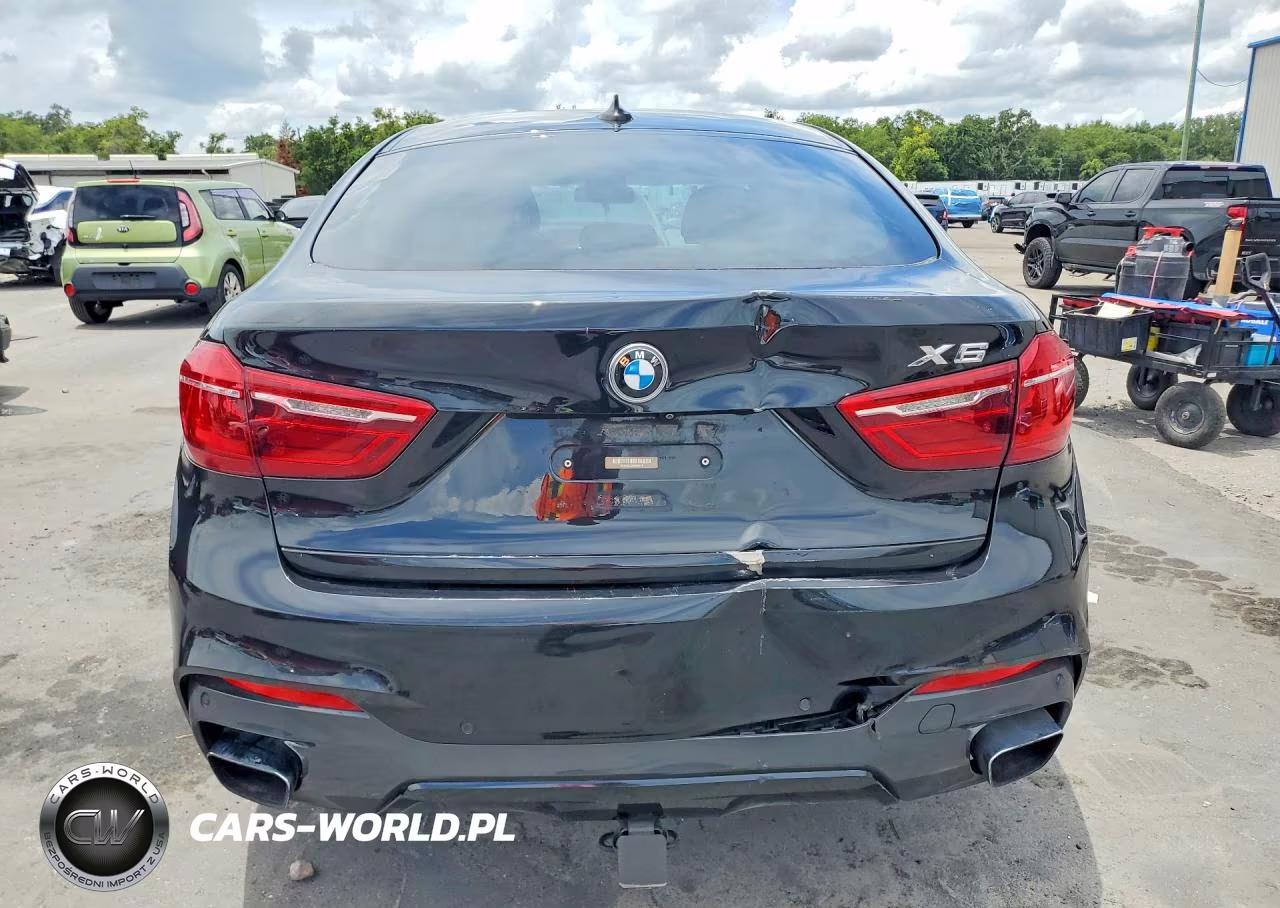 2017 BMW X6 xDrive50I VIN:5UXKU6C32H0S99670 - 6