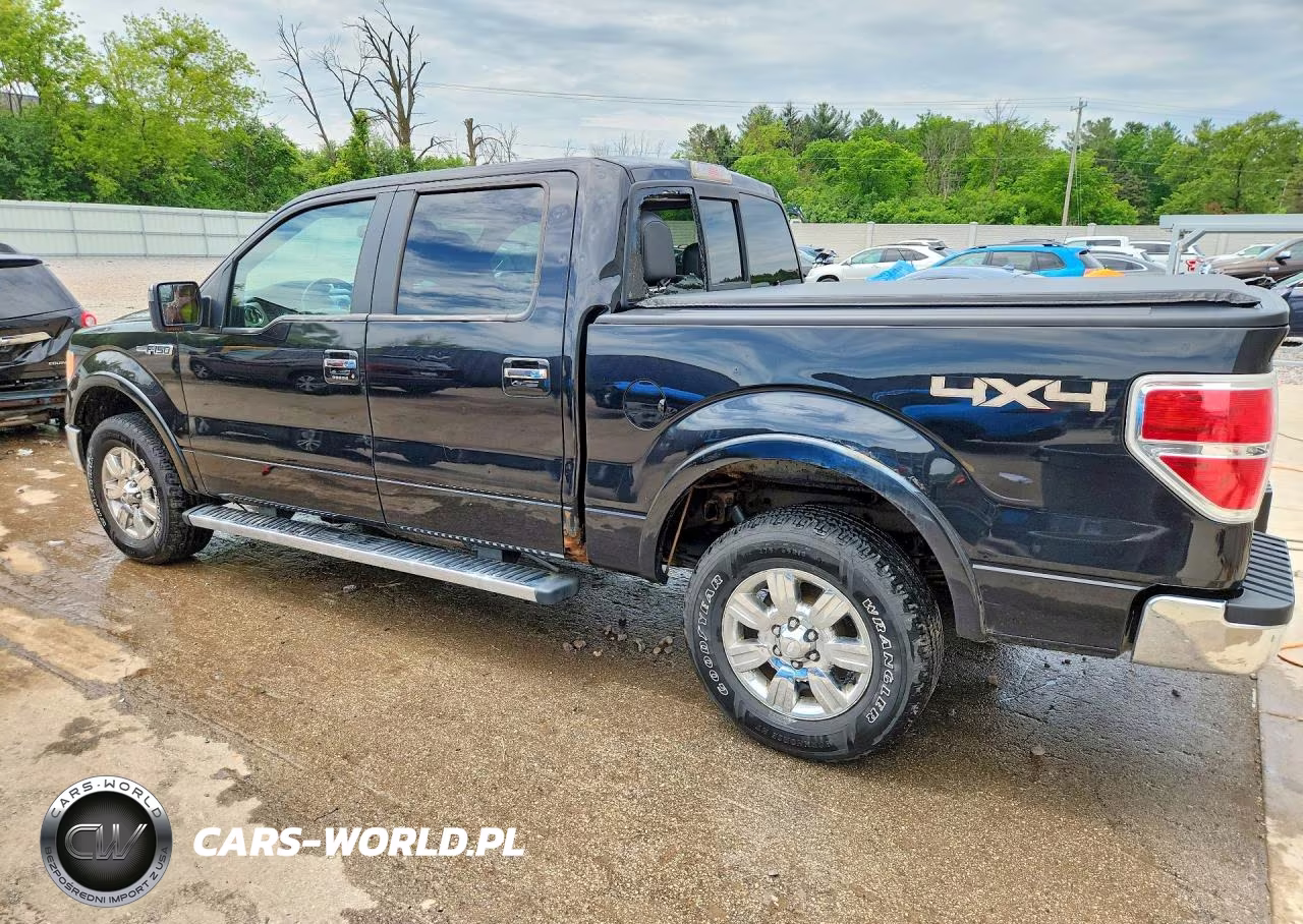 2011 Ford F150 Supercrew VIN:1FTFW1EF8BFA43495 - 2