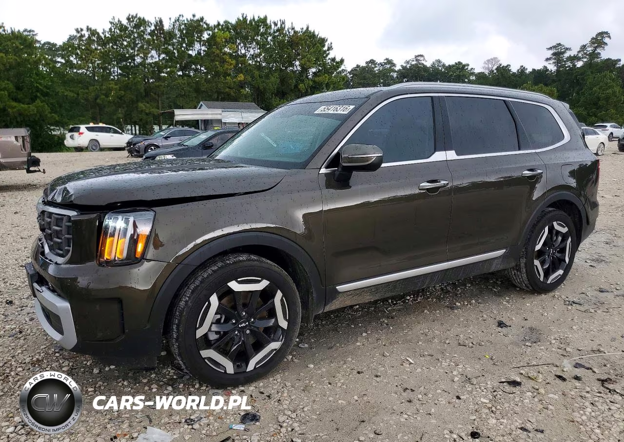 2025 Kia Telluride S VIN:5XYP64GCXSG702926 - 1