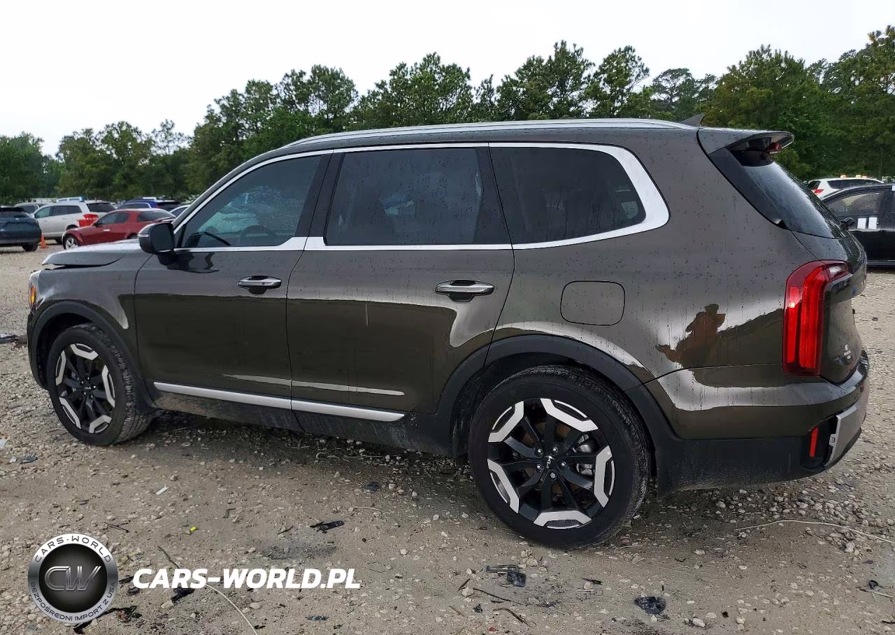 2025 Kia Telluride S VIN:5XYP64GCXSG702926 - 2