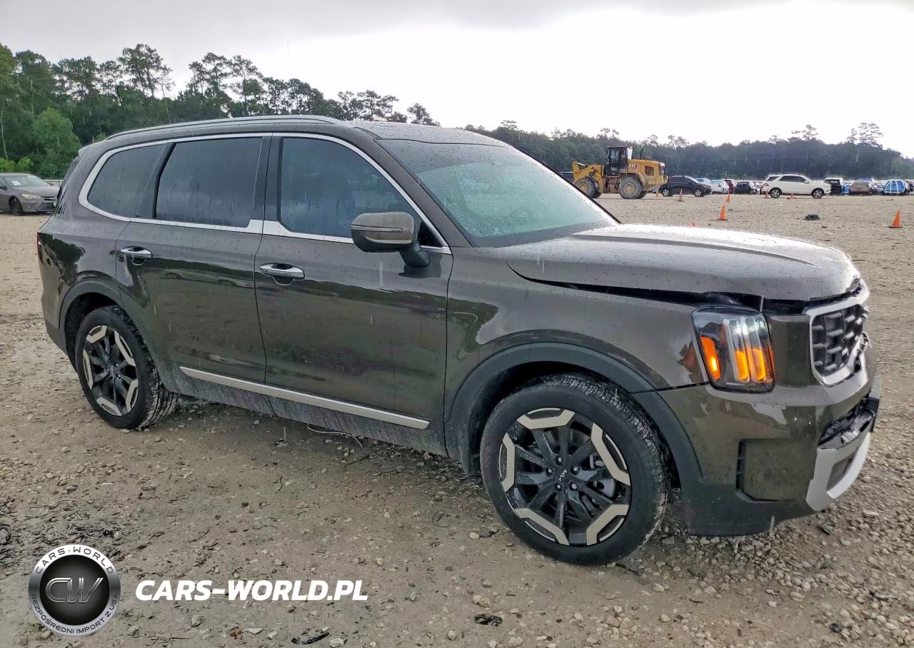 2025 Kia Telluride S VIN:5XYP64GCXSG702926 - 4
