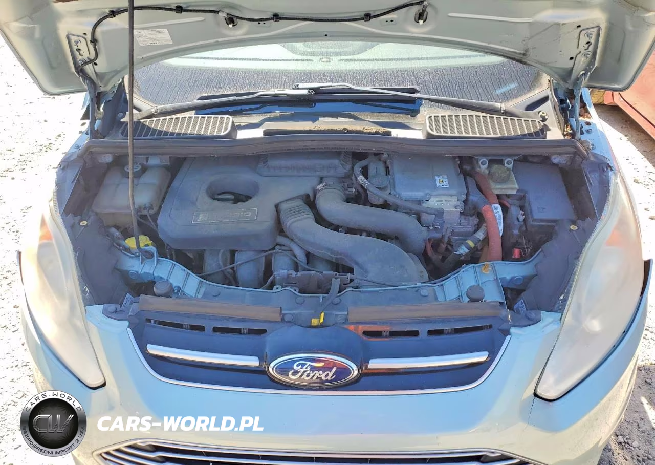 2013 Ford C-Max Sel VIN:1FADP5BU8DL522251 - 12