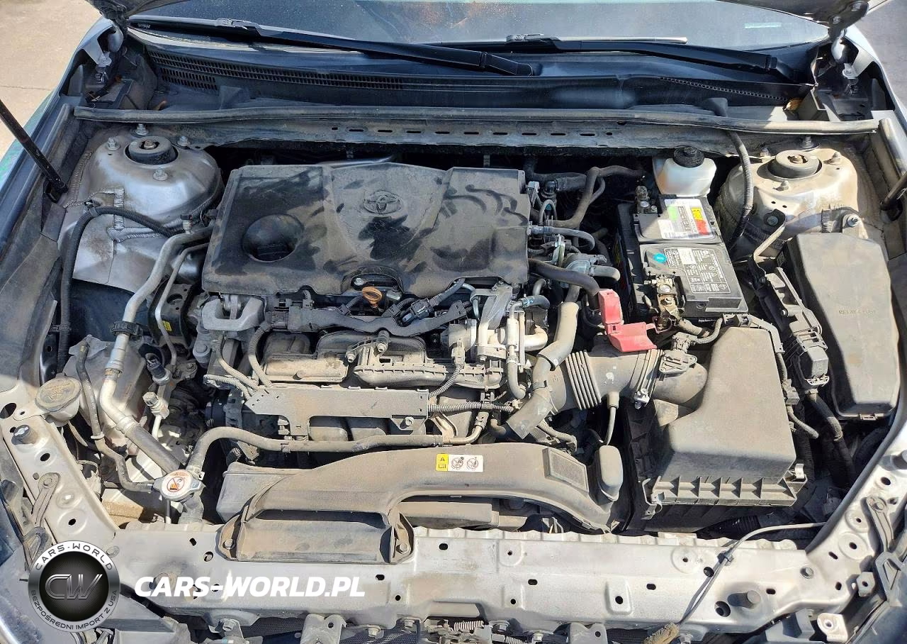 2019 Toyota Camry Le VIN:4T1B11HK1KU166214 - 11