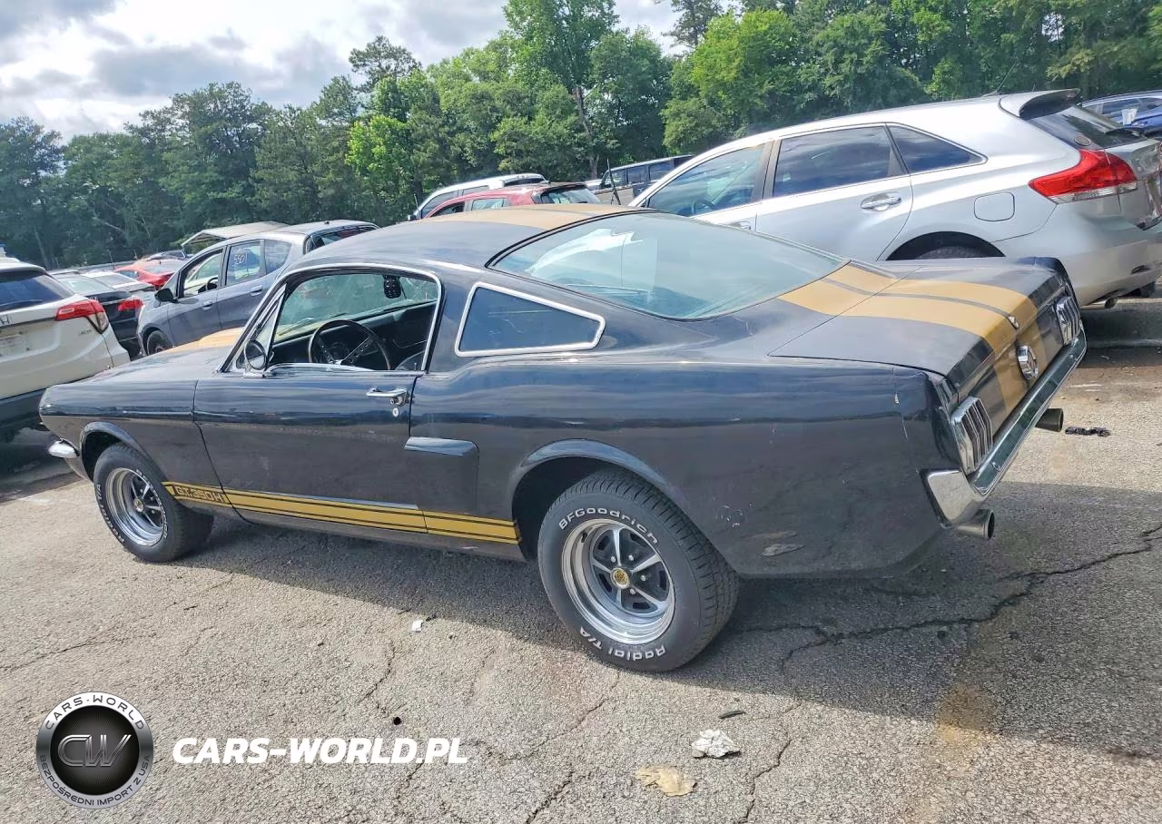 1966 Ford Mustang VIN:6T09A122579 - 2