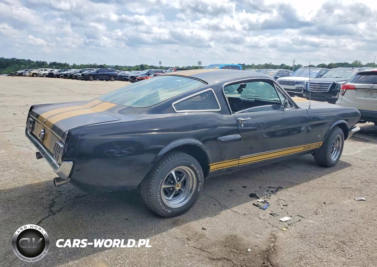 1966 Ford Mustang VIN:6T09A122579 - 3