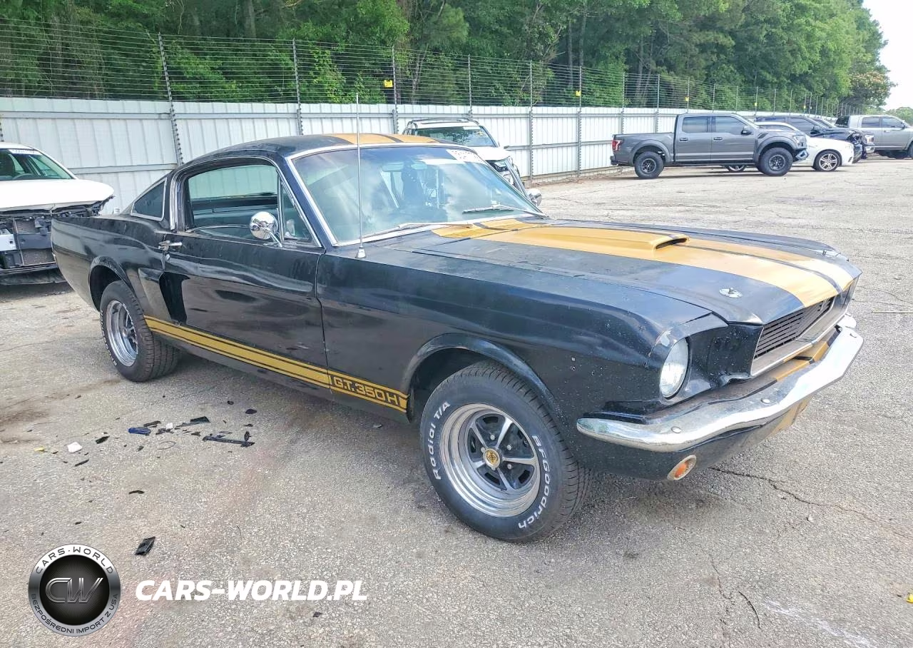 1966 Ford Mustang VIN:6T09A122579 - 4