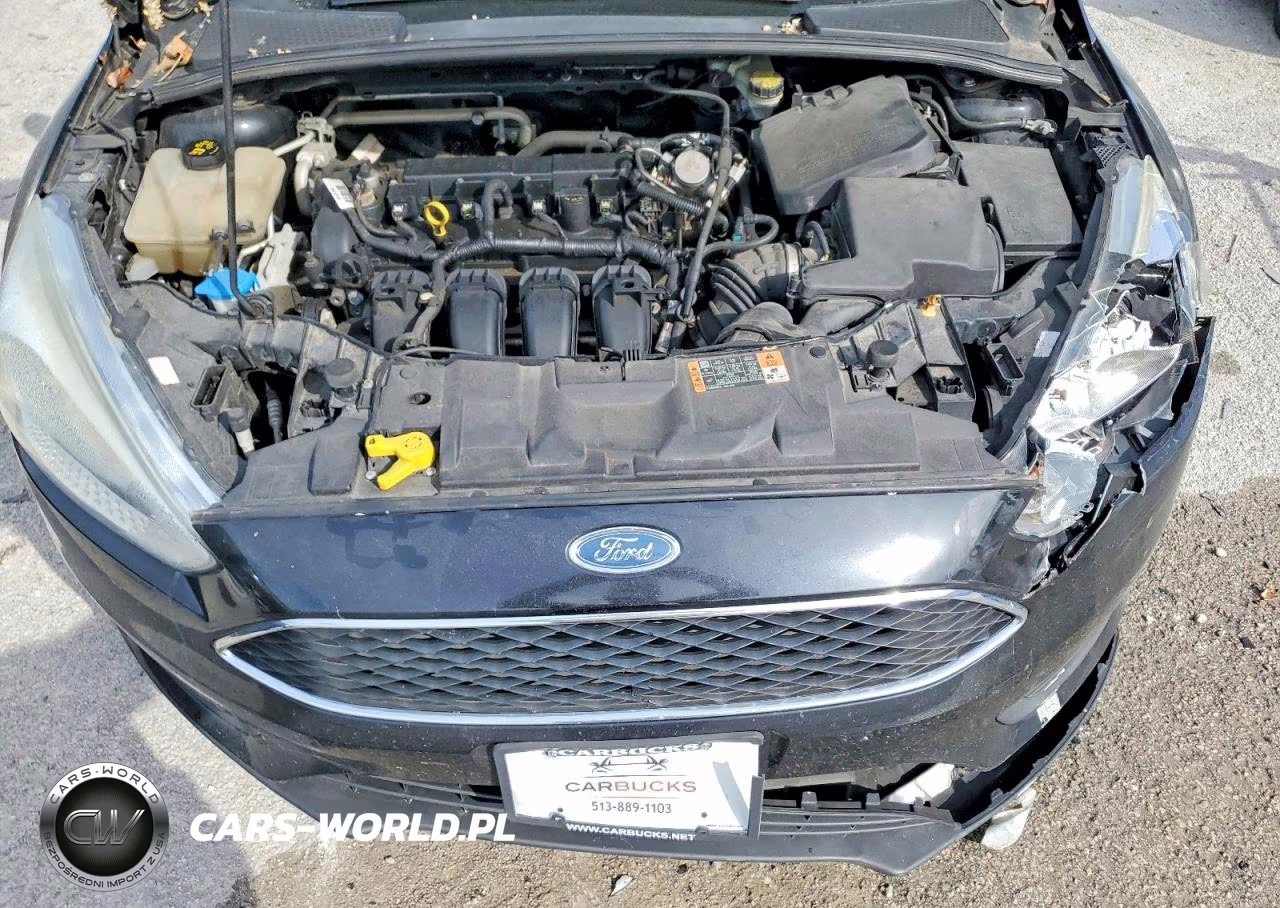 2016 Ford Focus Se VIN:1FADP3F21GL343468 - 11