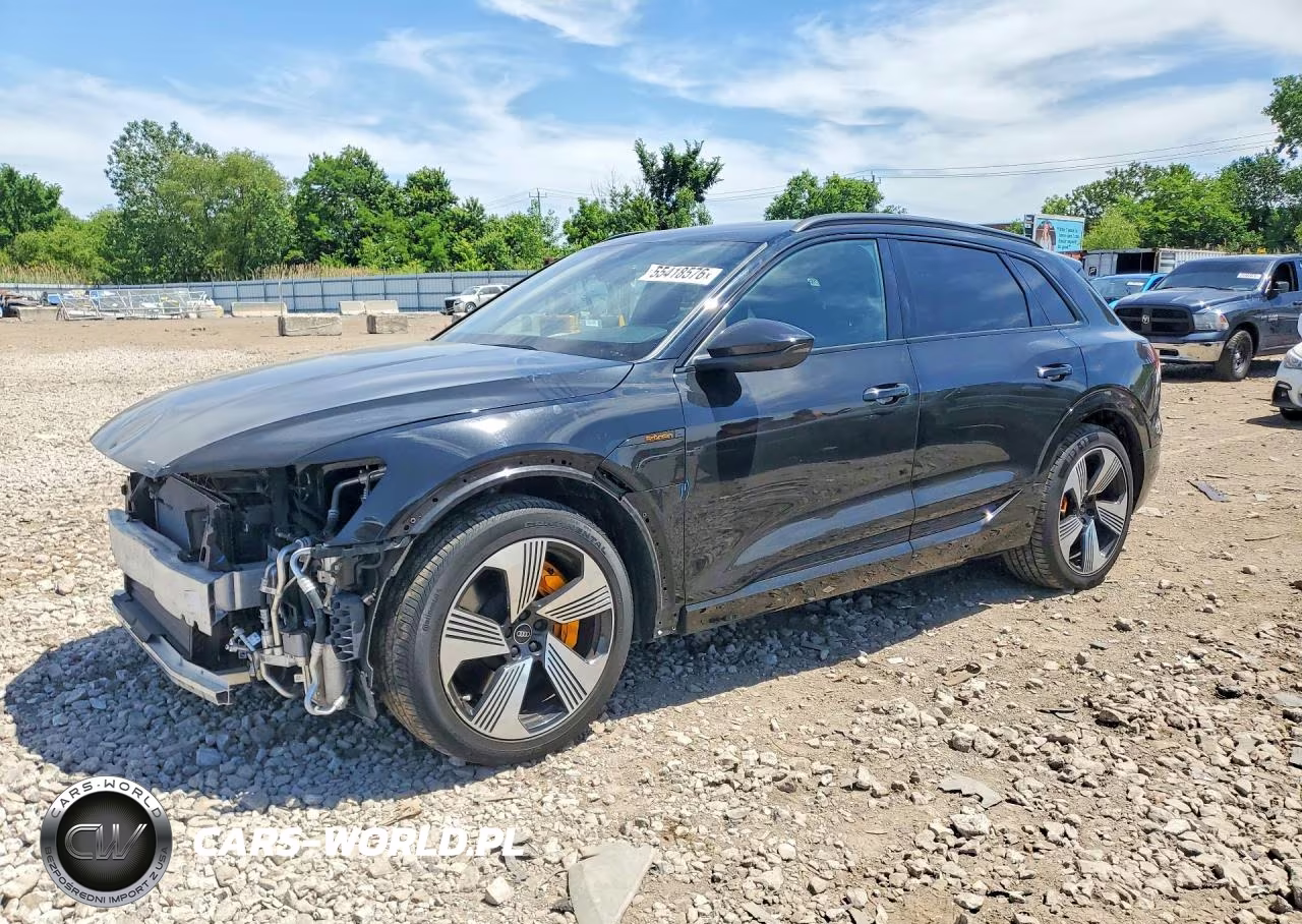 2022 Audi E-Tron Premium Plus – zdjęcie 1 z 13