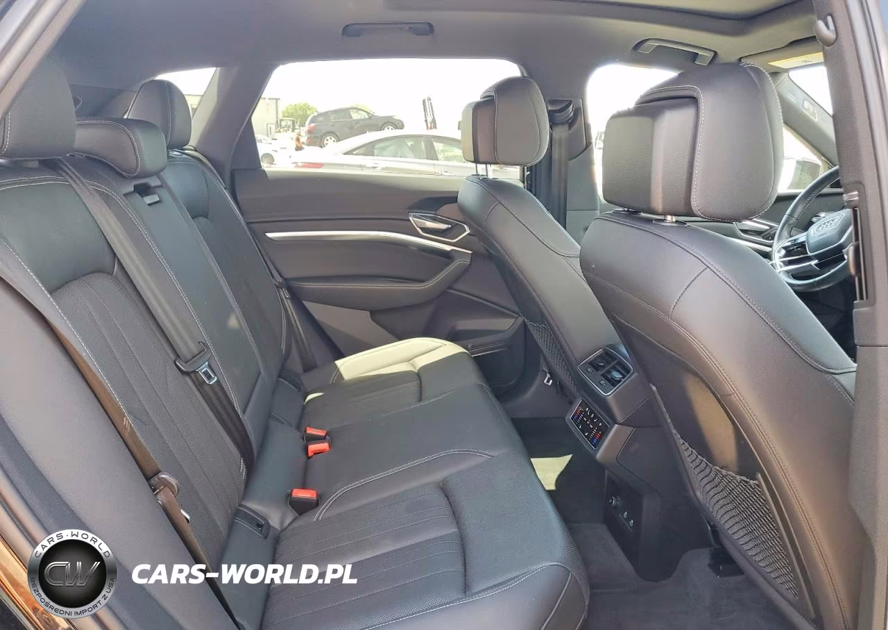 2022 Audi E-Tron Premium Plus VIN:WA1LAAGE6NB009910 - 10