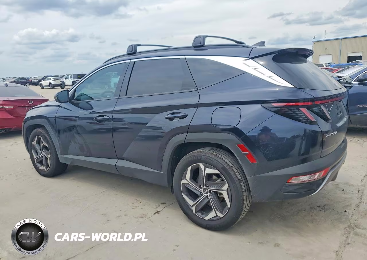 2024 Hyundai Tucson Limited VIN:KM8JECD16RU221680 - 2