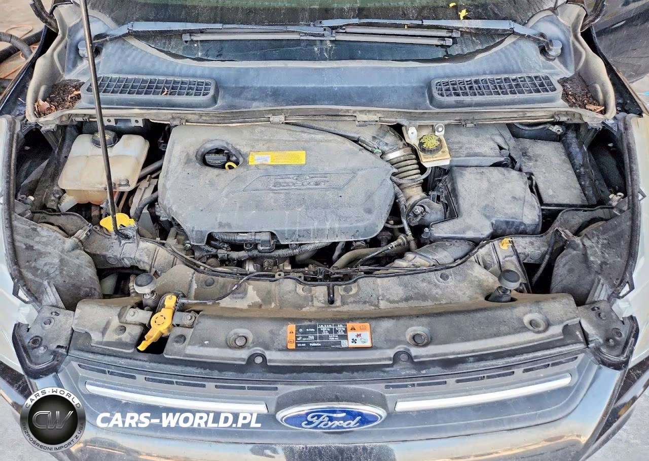 2015 Ford Escape Se VIN:1FMCU0GX1FUC14254 - 11