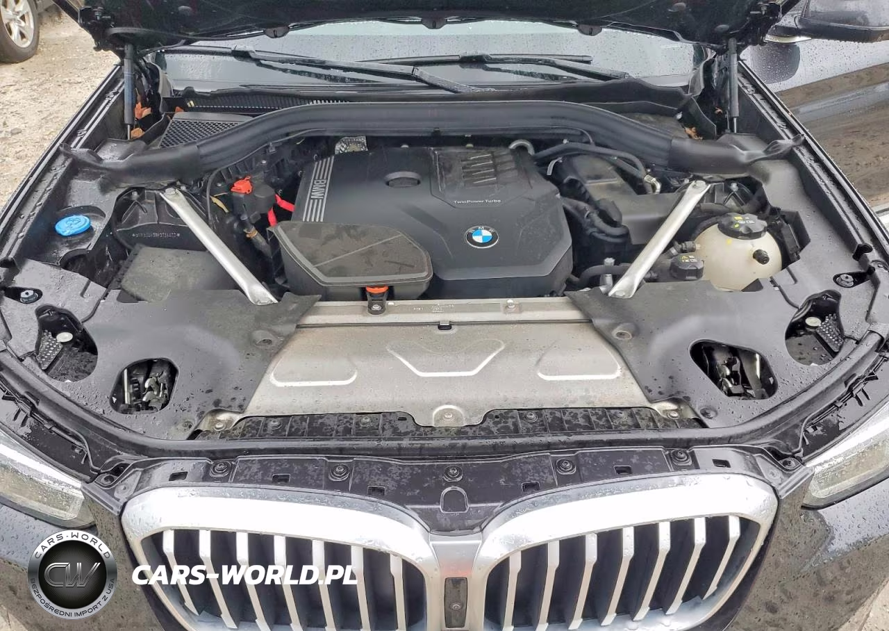 2023 BMW X3 xDrive30I VIN:5UX53DP08P9T34422 - 12