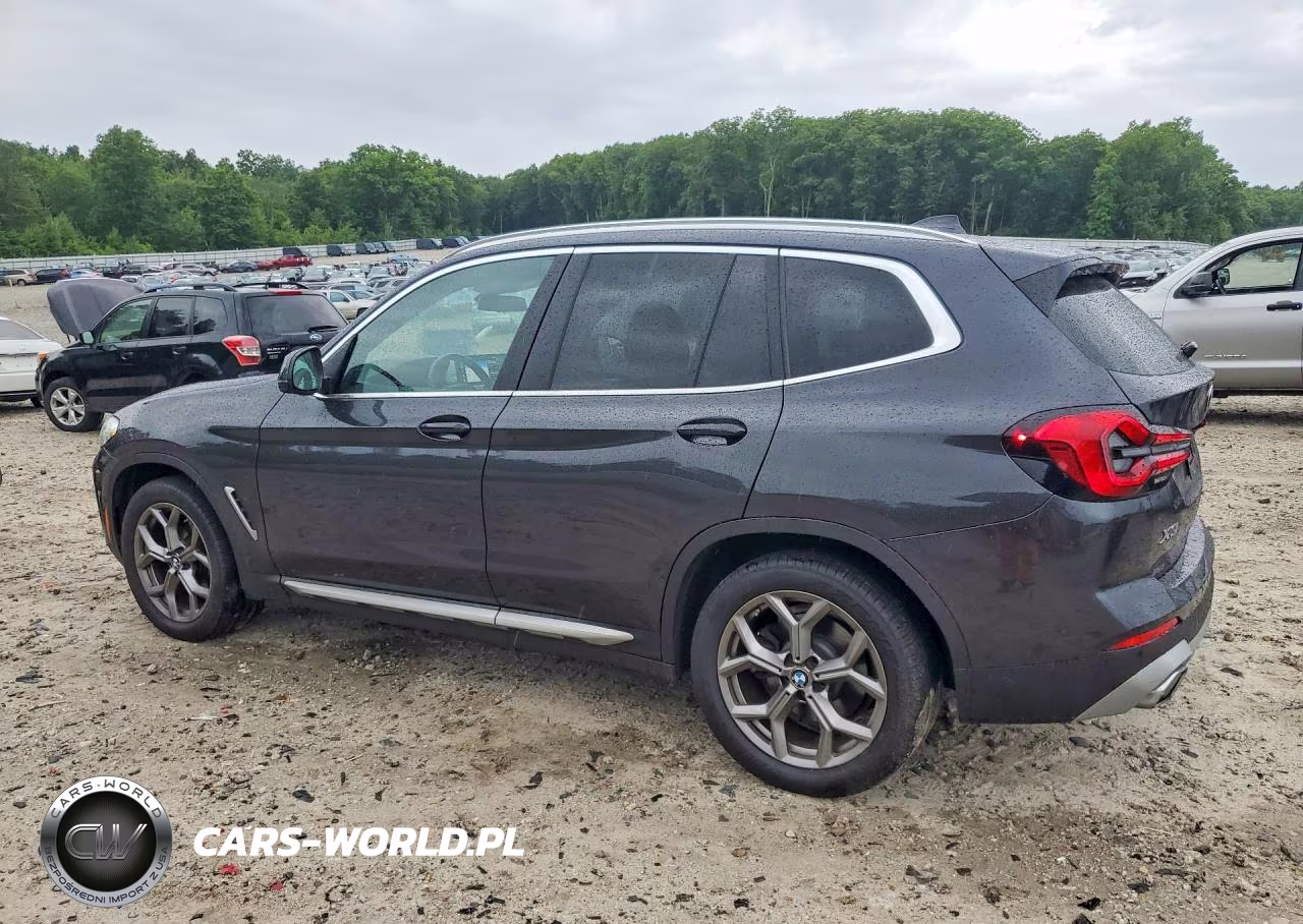 2023 BMW X3 xDrive30I VIN:5UX53DP08P9T34422 - 2