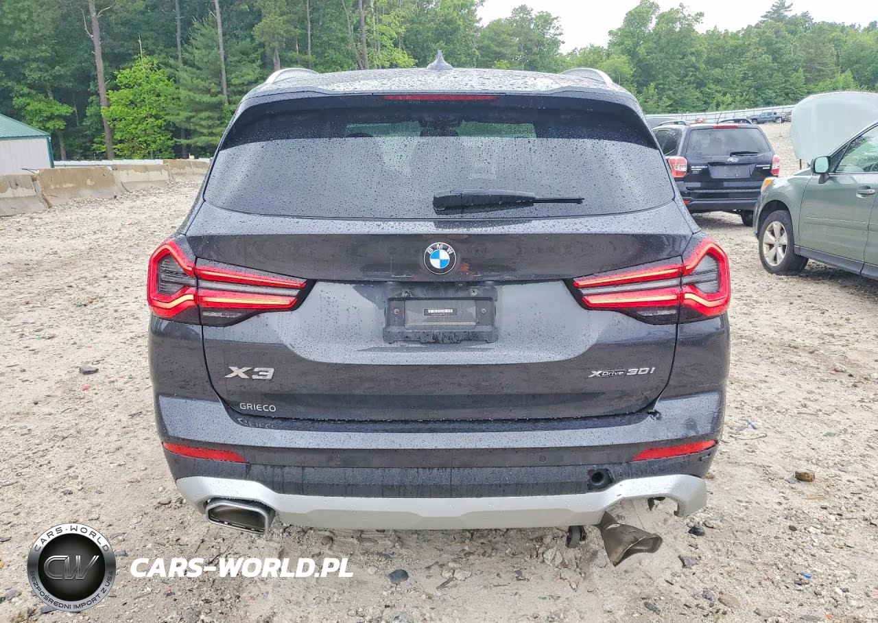 2023 BMW X3 xDrive30I VIN:5UX53DP08P9T34422 - 6