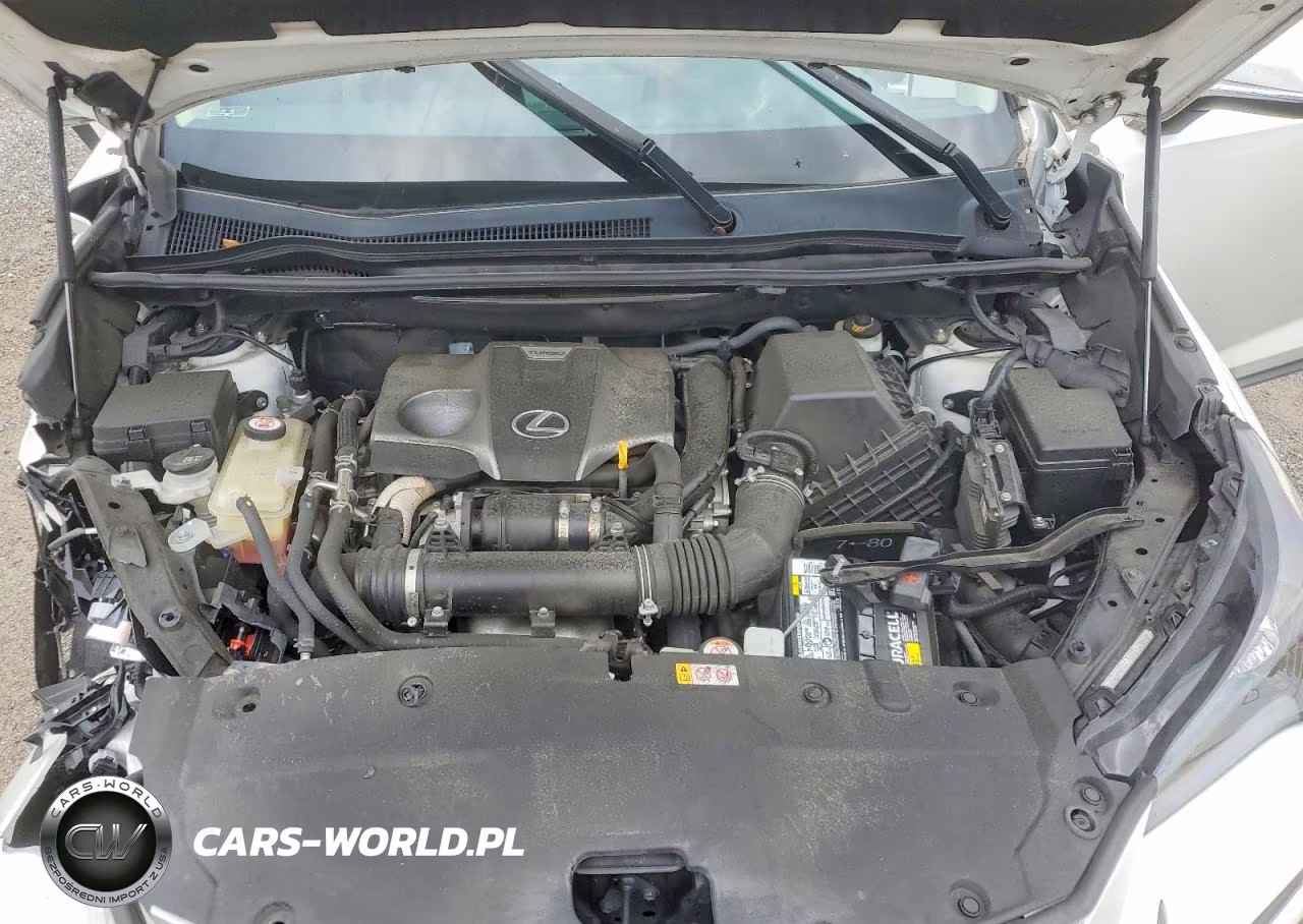 2020 Lexus Nx 300 VIN:JTJDARBZ9L5014417 - 12