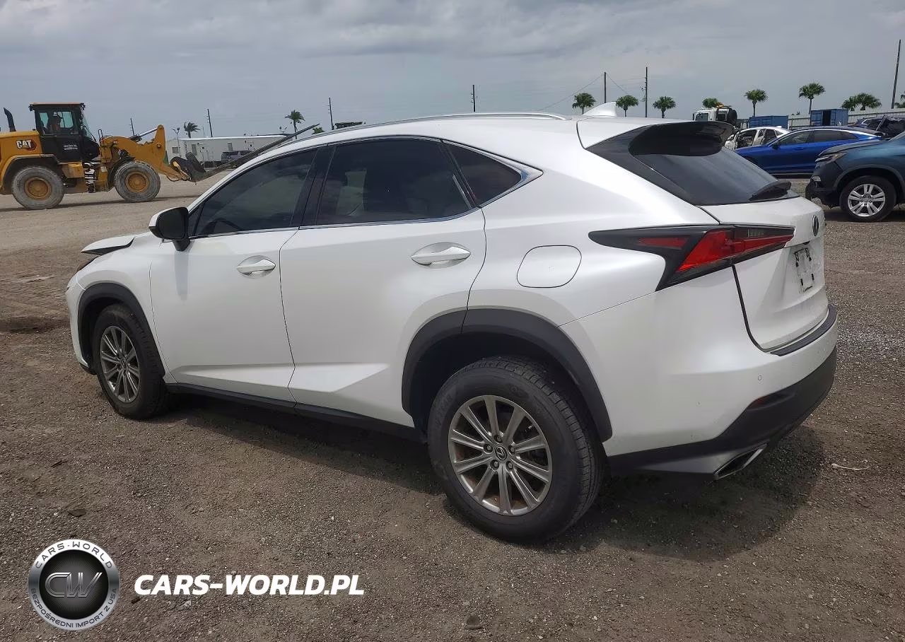 2020 Lexus Nx 300 VIN:JTJDARBZ9L5014417 - 2