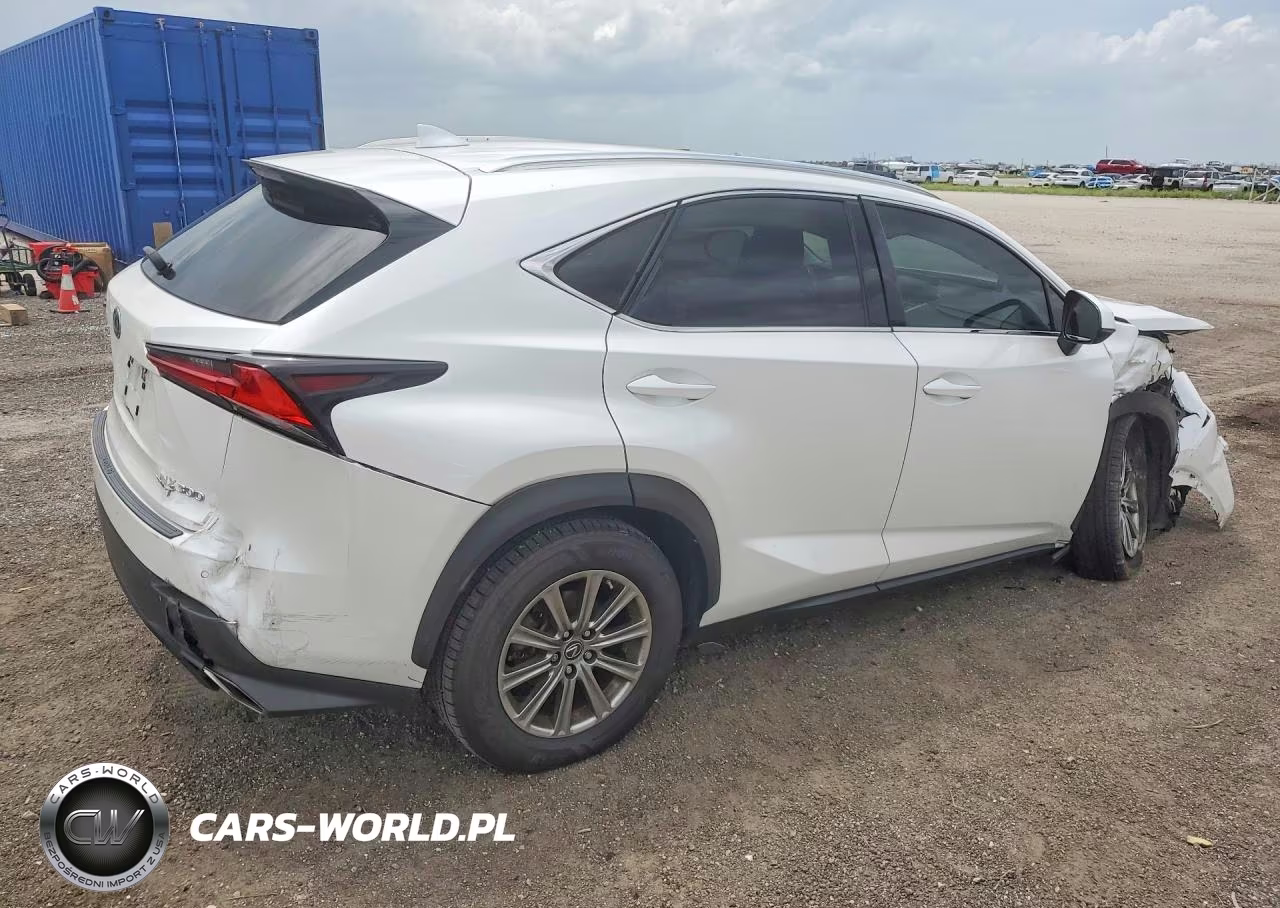 2020 Lexus Nx 300 VIN:JTJDARBZ9L5014417 - 3