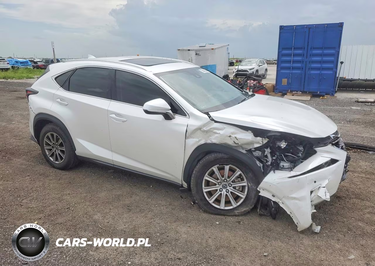 2020 Lexus Nx 300 VIN:JTJDARBZ9L5014417 - 4
