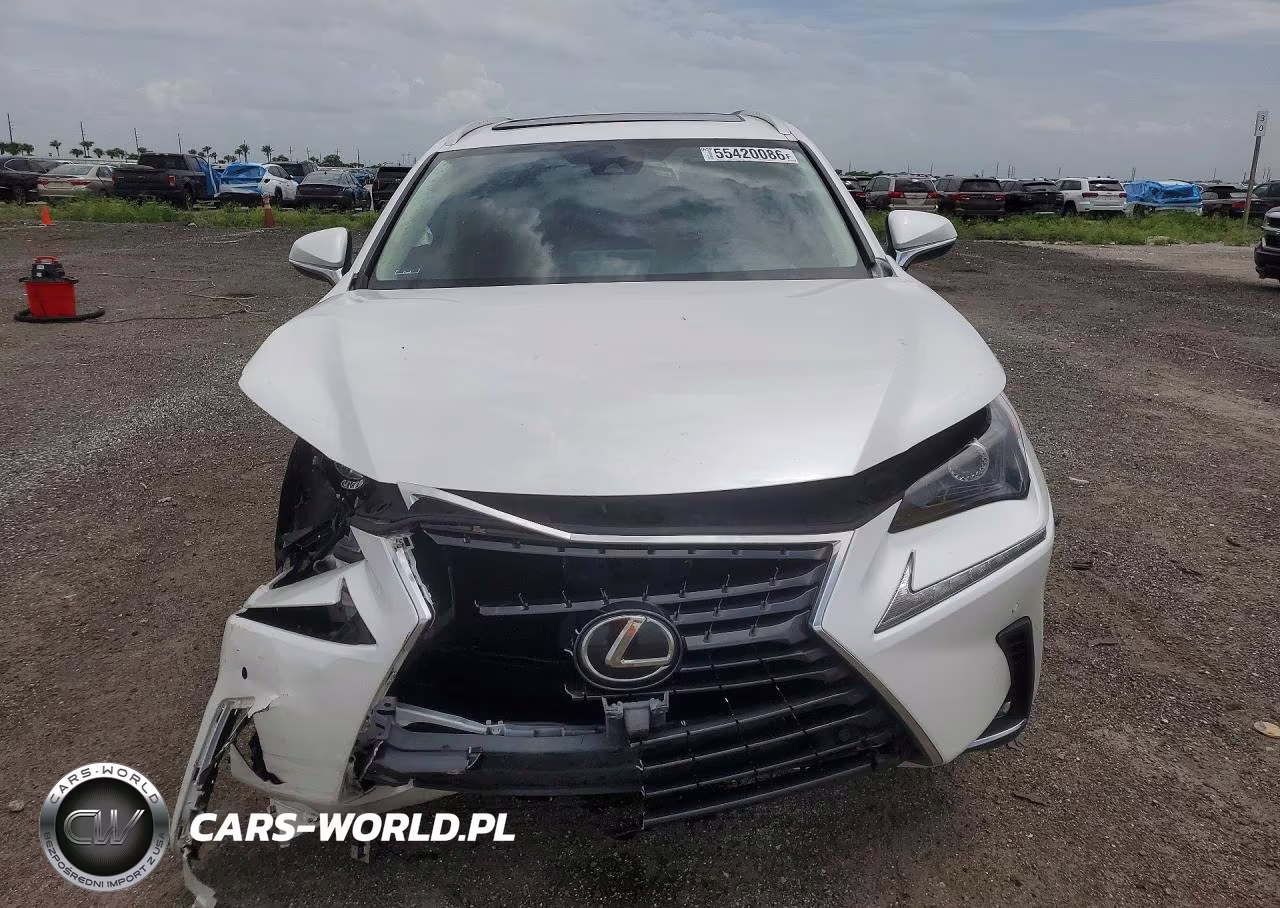 2020 Lexus Nx 300 VIN:JTJDARBZ9L5014417 - 5