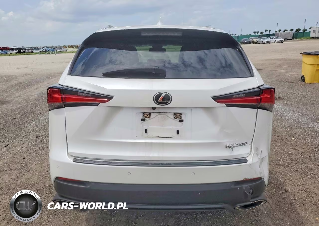 2020 Lexus Nx 300 VIN:JTJDARBZ9L5014417 - 6