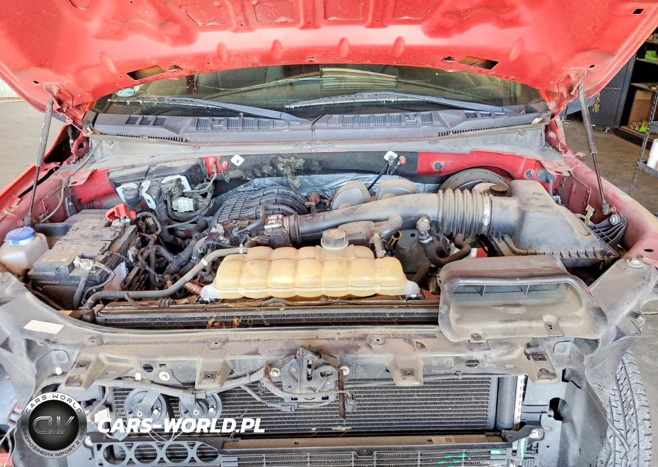 2019 Ford F150 Supercrew VIN:1FTEW1CB8KKC82385 - 11